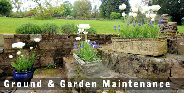 Ground and Garden Maintenance