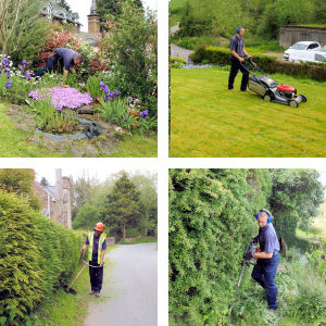 Hedge Cutting and Pruning