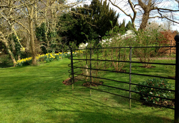 Meadow View Landscapes