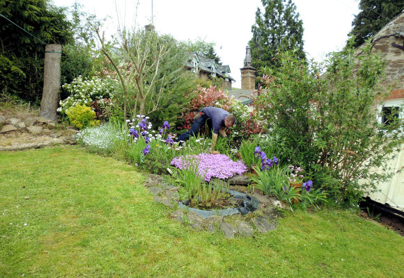 Meadow View Landscapes